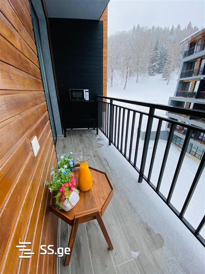 2 Room Flat Daily Rent. Bakuriani, 3 of 12