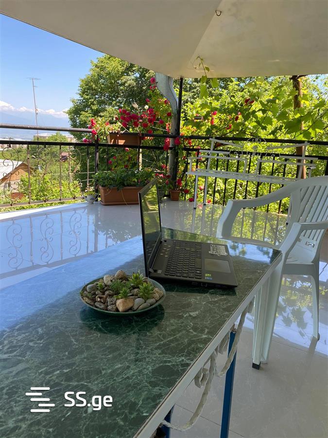 4 Room Private House Daily Rent. Telavi, 1 of 4