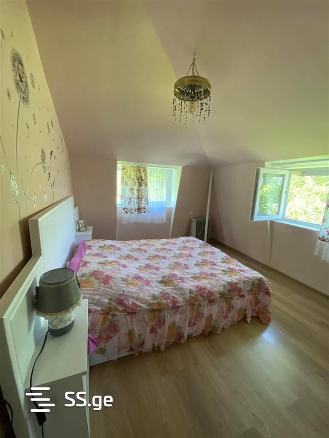 4 Room Private House Daily Rent. Telavi view 10