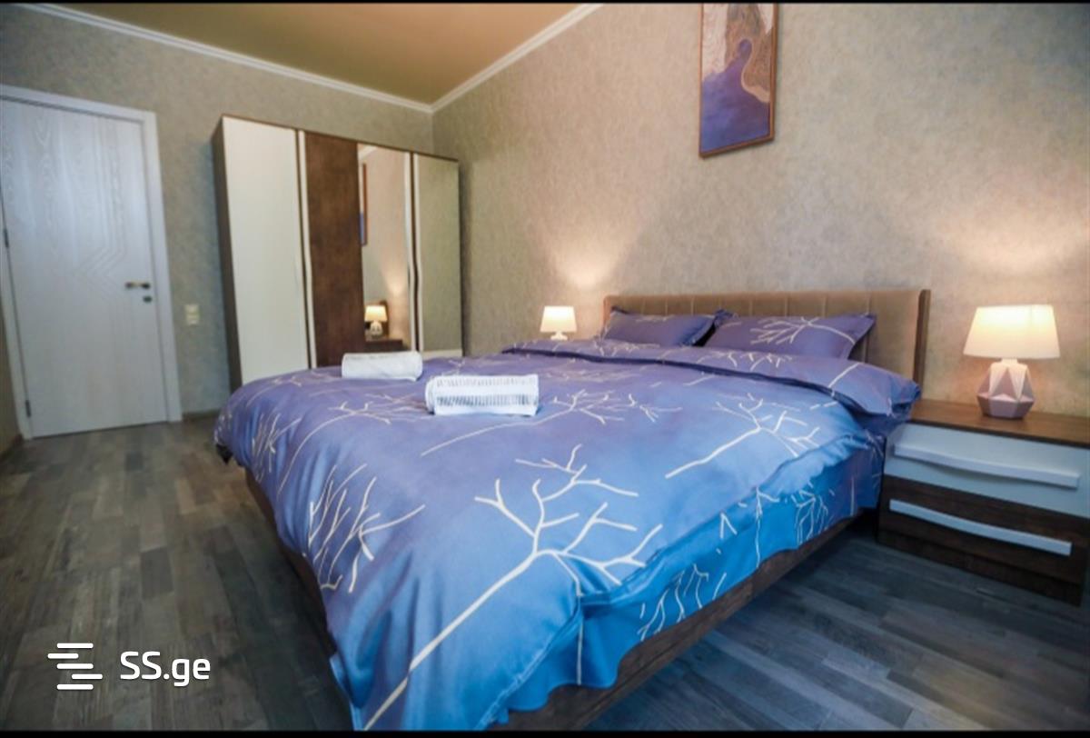 3 Room Flat Daily Rent. Chugureti view 5