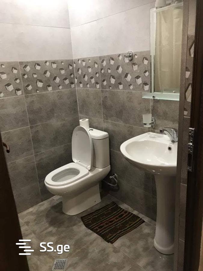 2 Room Flat Daily Rent. Bakuriani view 10