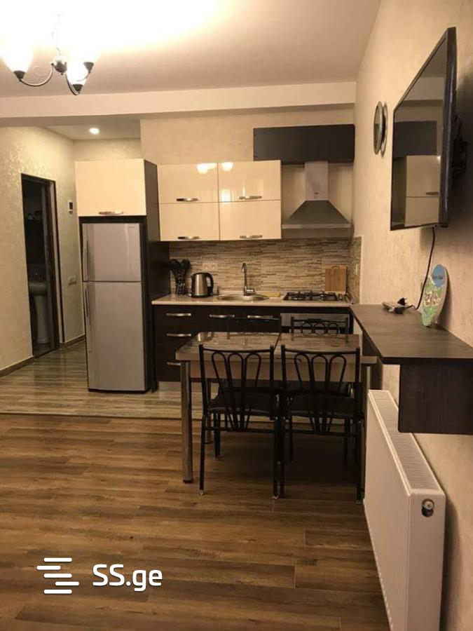 2 Room Flat Daily Rent. Bakuriani, 3 of 4