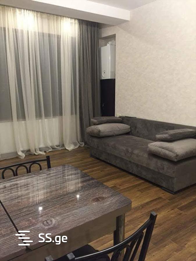 2 Room Flat Daily Rent. Bakuriani view 1