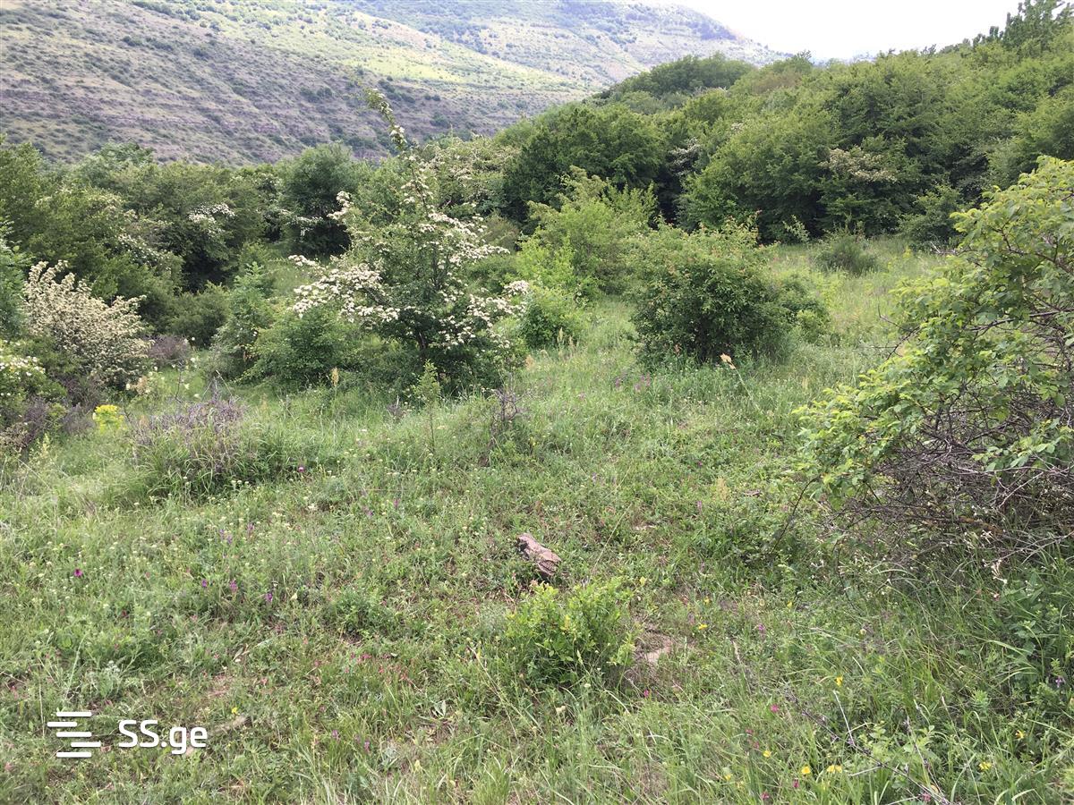 Land For Sale. Kojori view 3