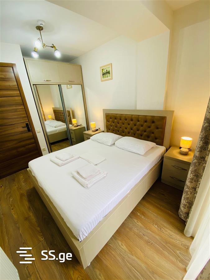2 Room Flat Daily Rent. Bakuriani, 11 of 12