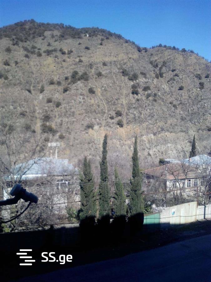 1 Room Flat For Rent. Mtskheta view 9