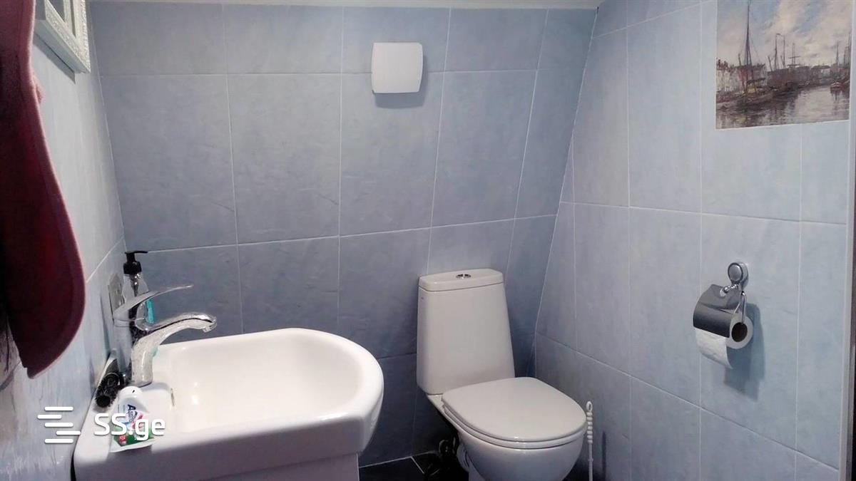 4 Room Private House Daily Rent. Telavi view 5