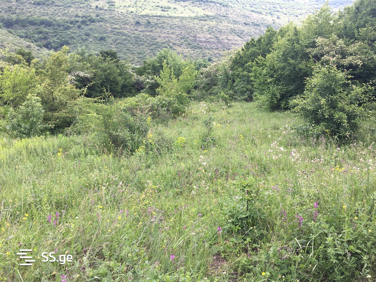 Land For Sale. Kojori view 4