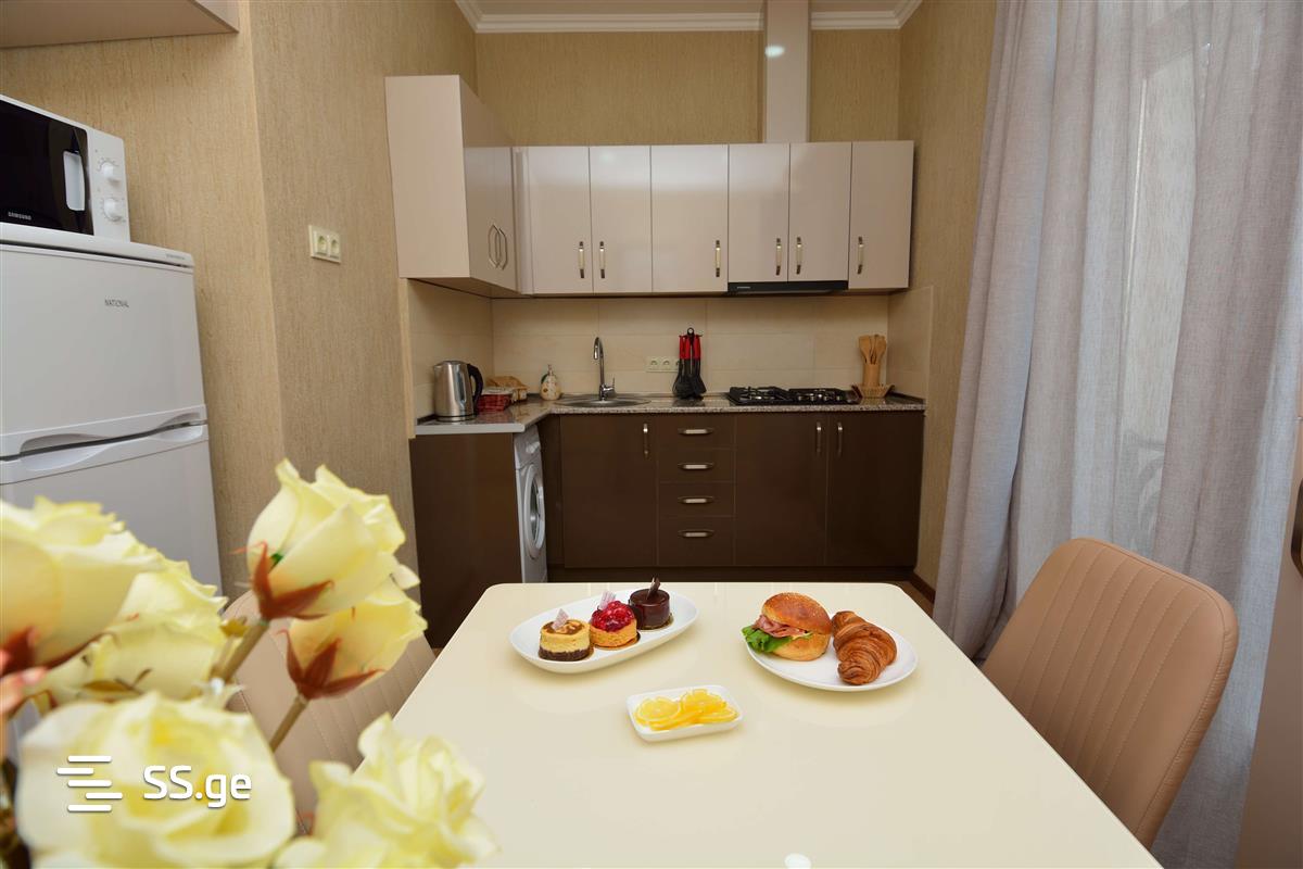 4 Room Flat Daily Rent. Chugureti view 2