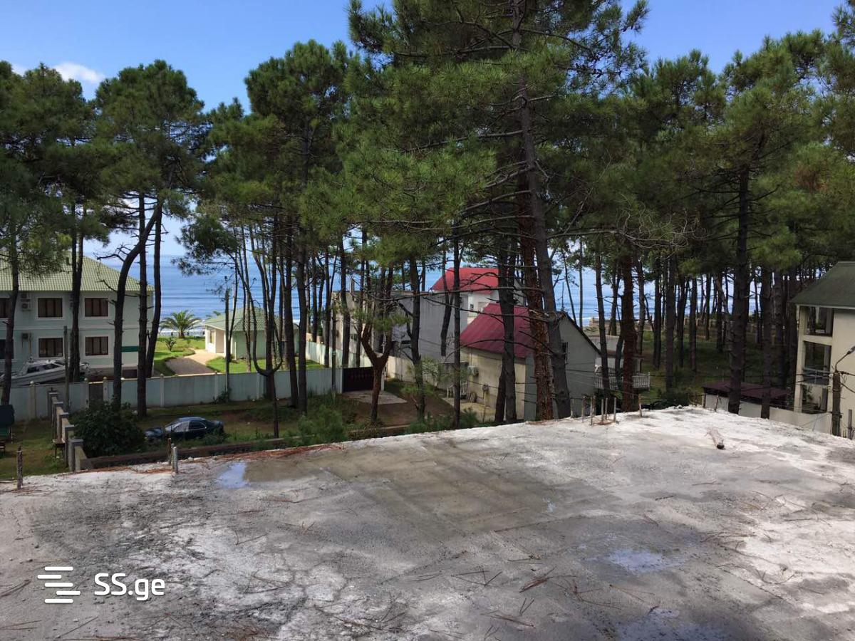 იყიდება 12-ოთახი Summer Cottage view 2
