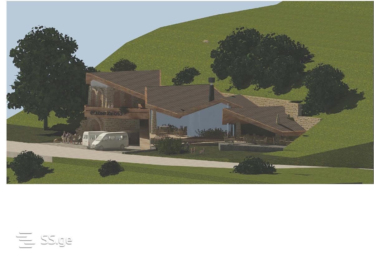 Commercial Space For Sale. Borjomi view 8