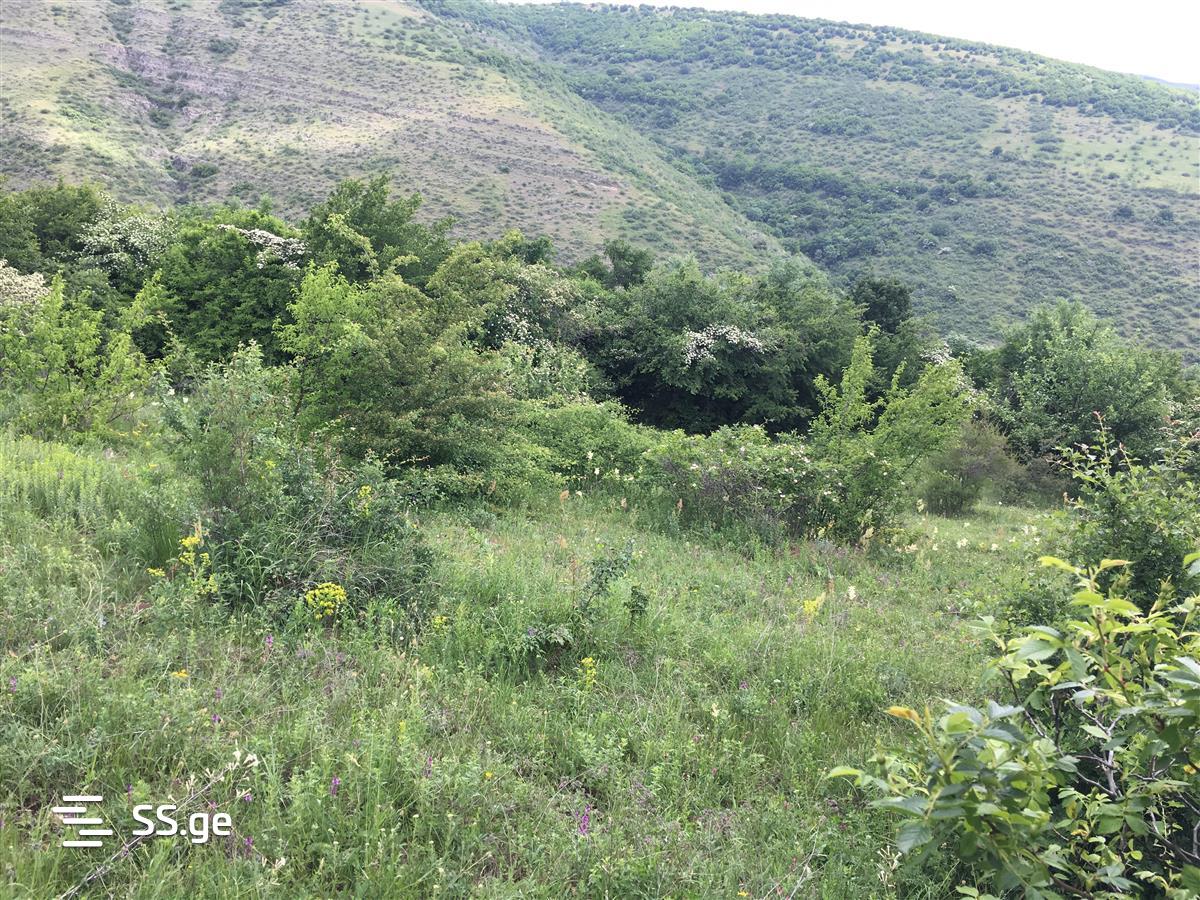 Land For Sale. Kojori view 2