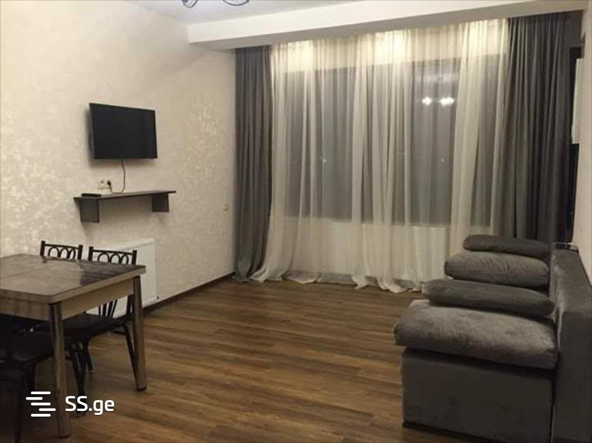 2 Room Flat Daily Rent. Bakuriani view 12