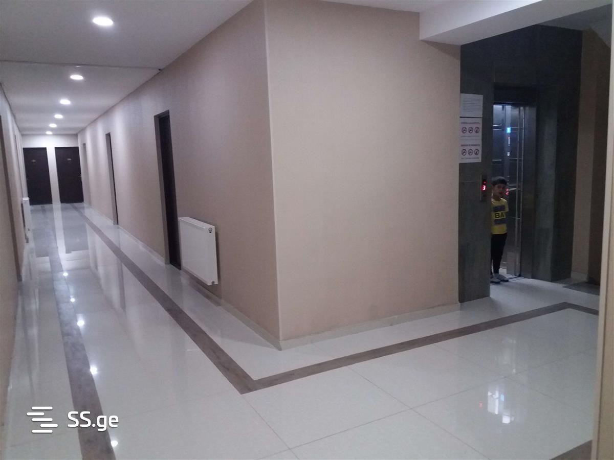 2 Room Flat Daily Rent. Bakuriani view 10