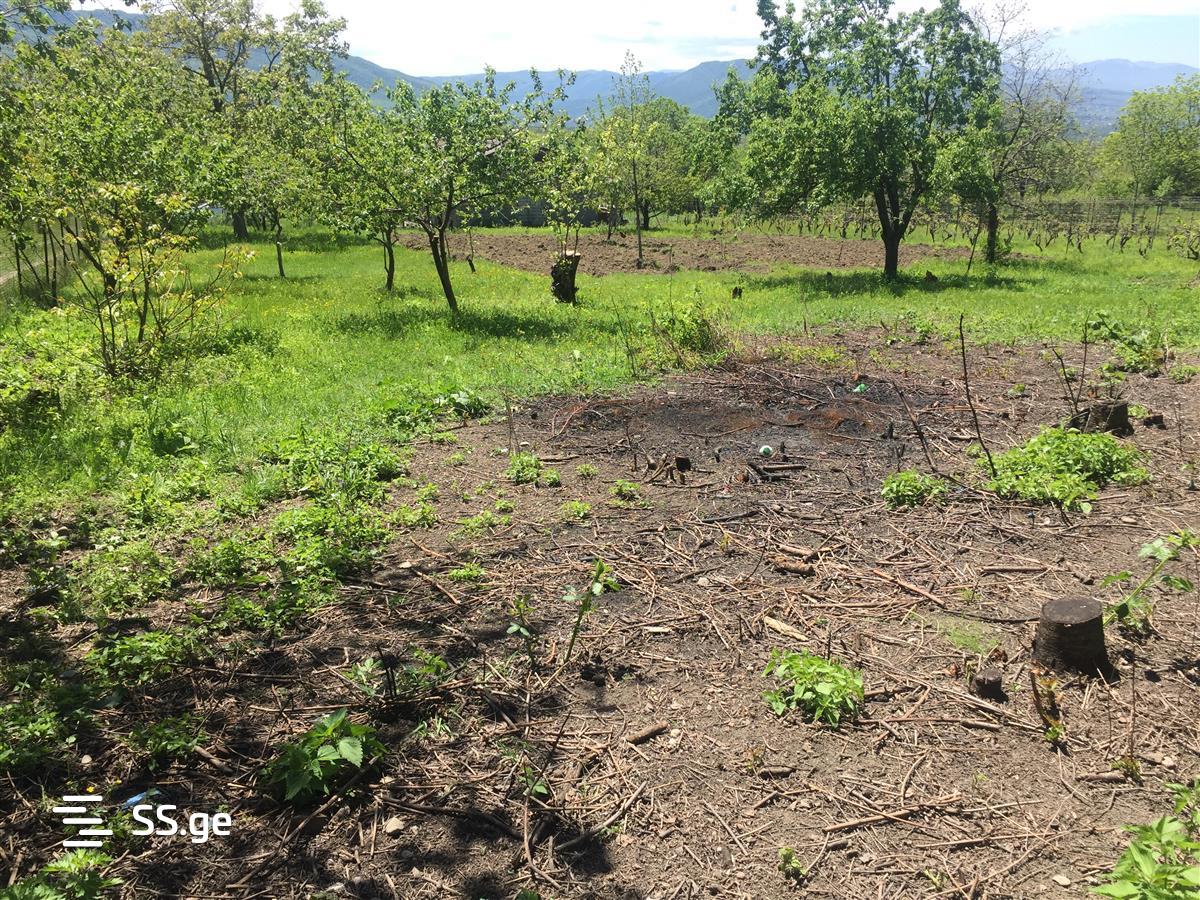 For Sale Sasoplo-Sameurneo Land Plot Mtskhetashi view 10