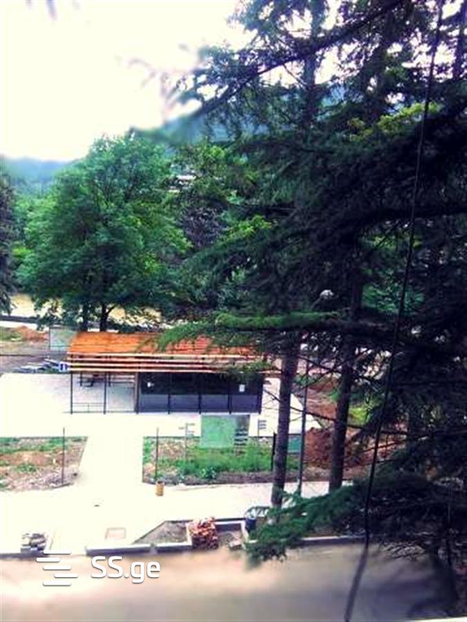 2 Room Flat Daily Rent. Borjomi view 8