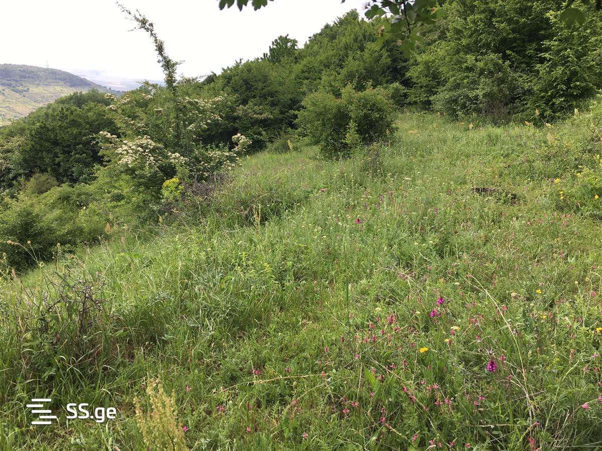 Land For Sale. Kojori view 1