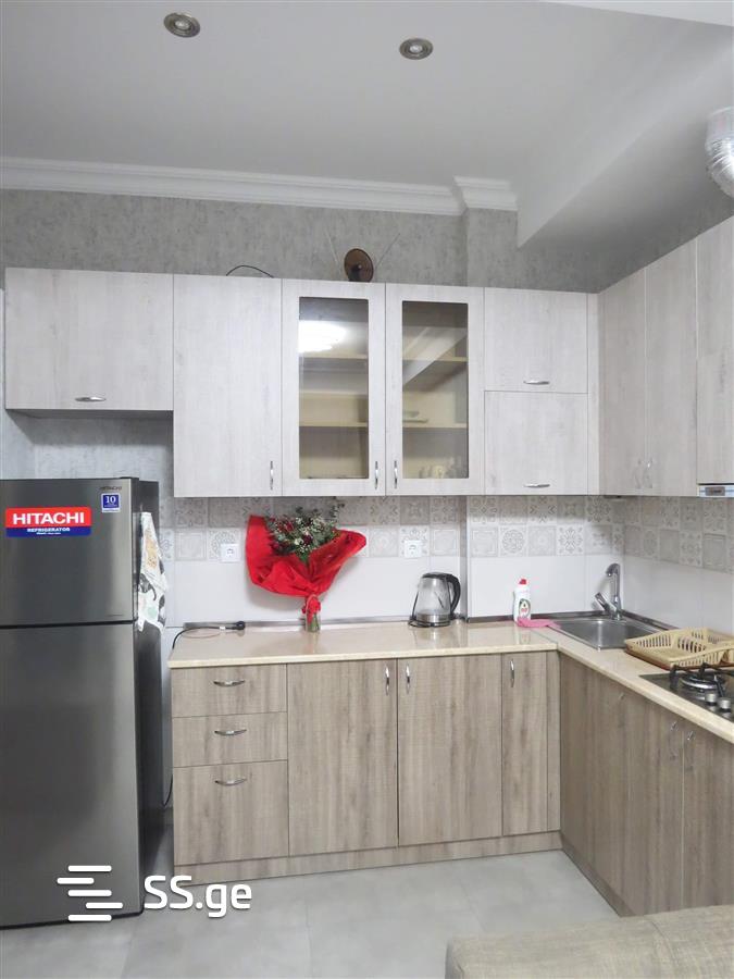 2 Room Flat Daily Rent. Nadzaladevi view 2