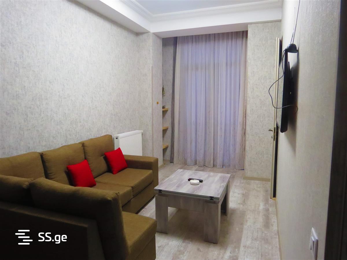 2 Room Flat Daily Rent. Nadzaladevi view 1