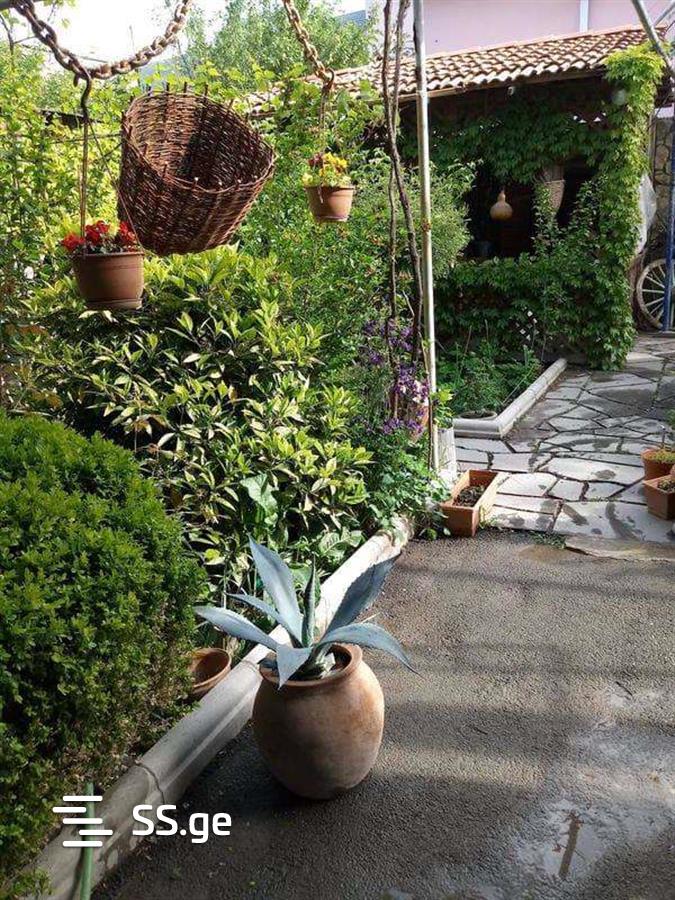 1 Room Flat Daily Rent. Gori view 4