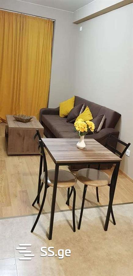 2 room Flat Daily rent. Vazisubani, Tbilisi
