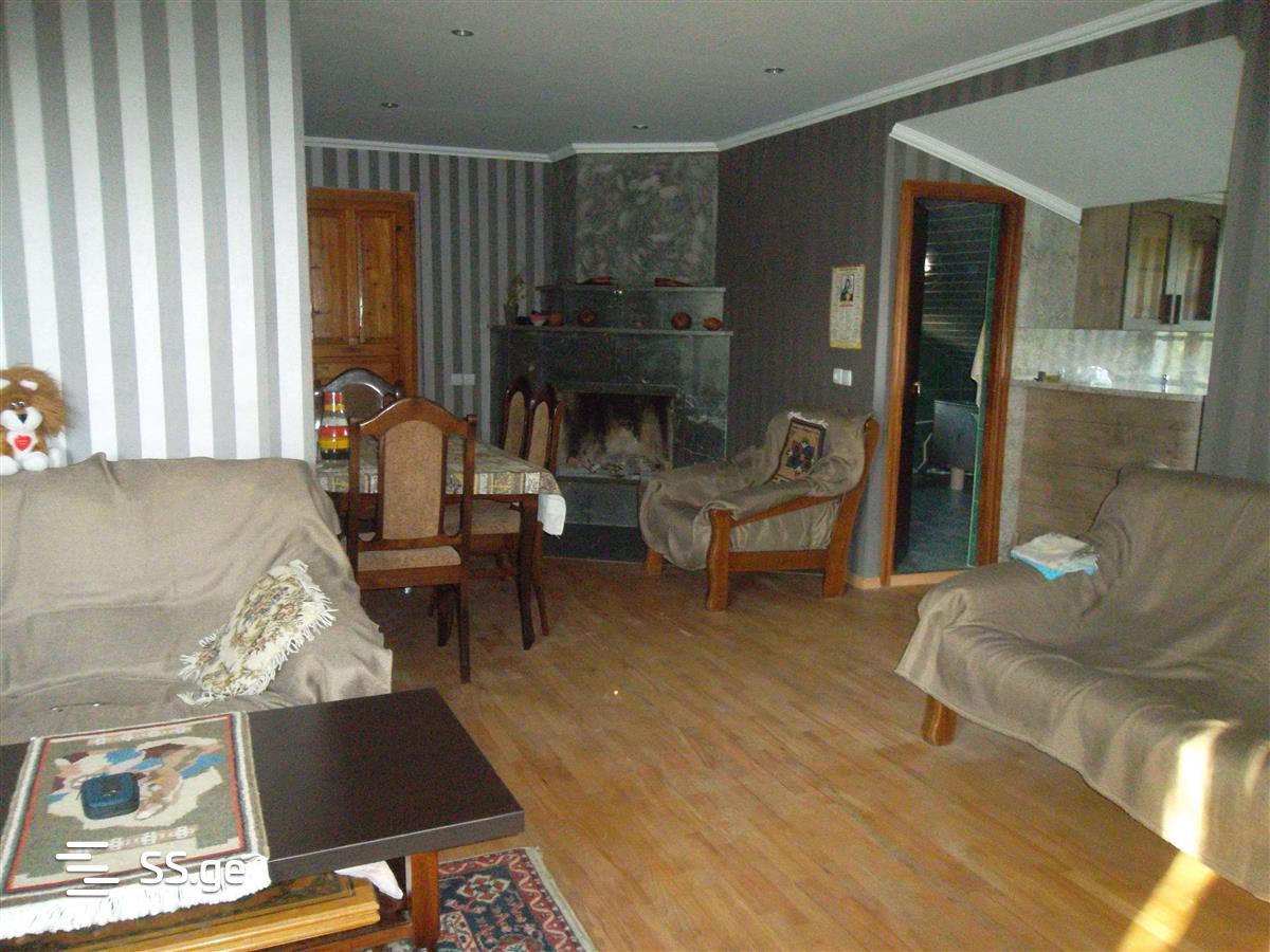 4 Room Private House Daily Rent. Bazaleti view 4