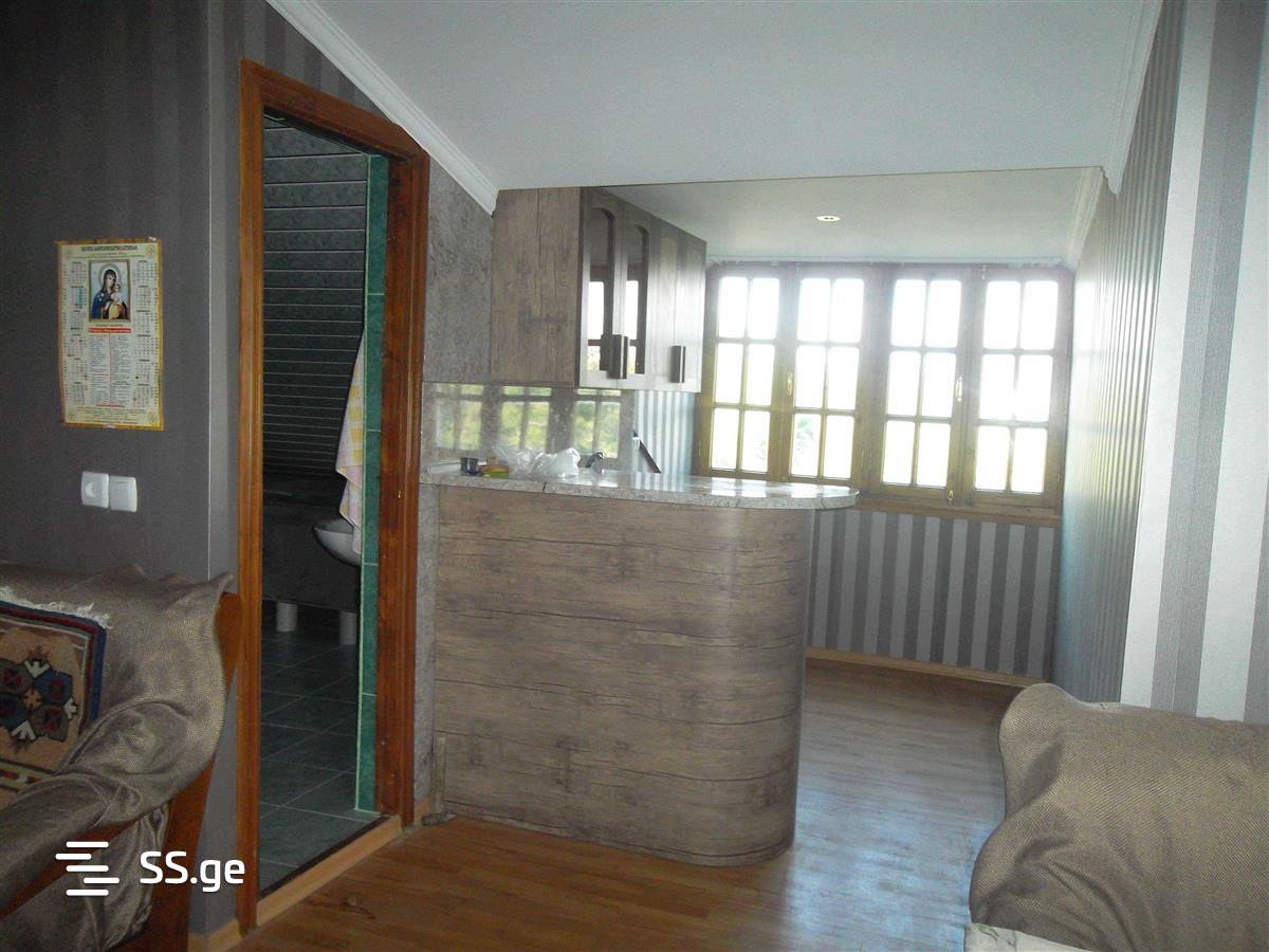 4 Room Private House Daily Rent. Bazaleti view 1