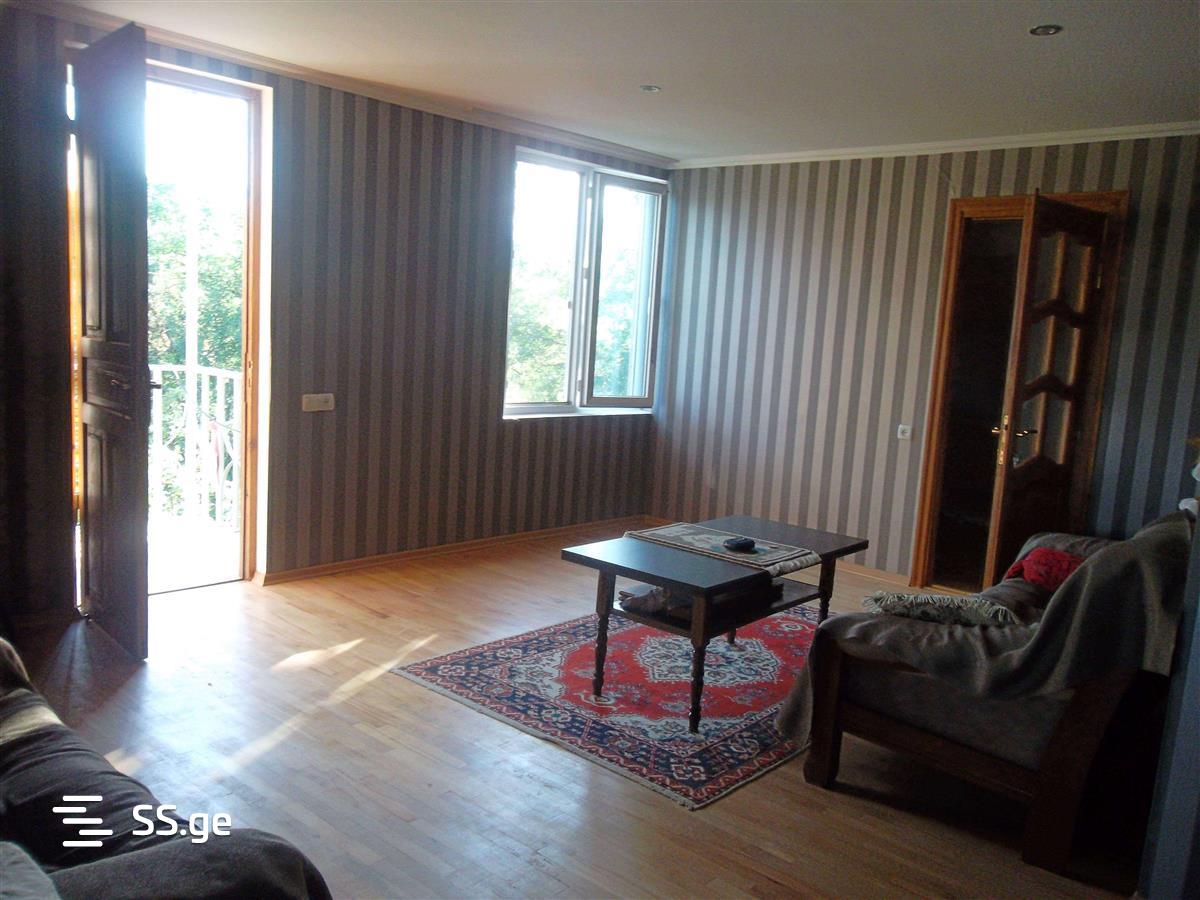 4 Room Private House Daily Rent. Bazaleti view 5