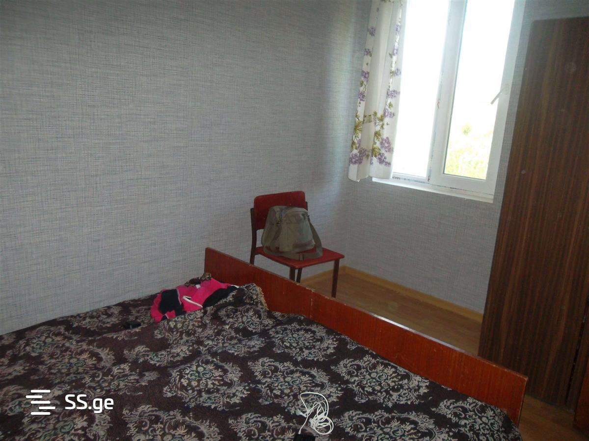 4 Room Private House Daily Rent. Bazaleti view 3