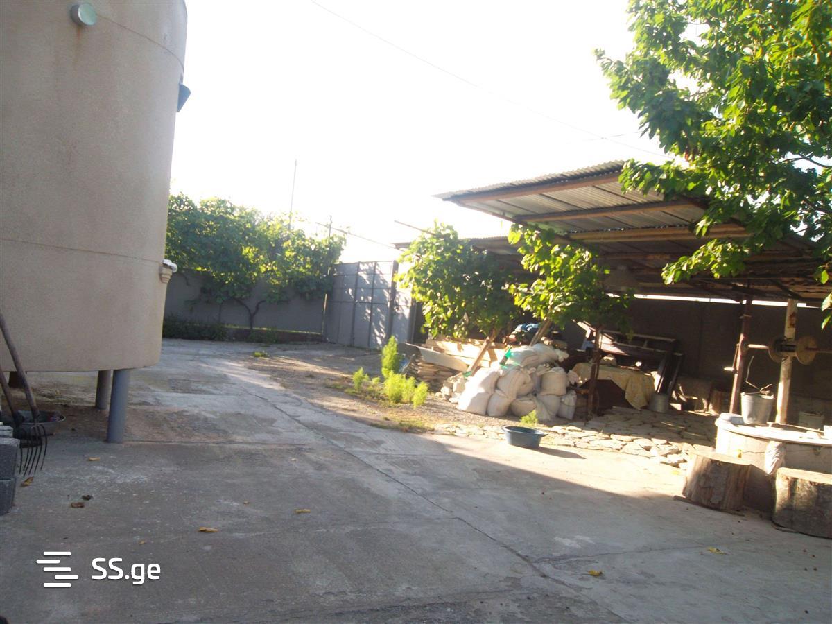 4 Room Private House Daily Rent. Bazaleti view 9