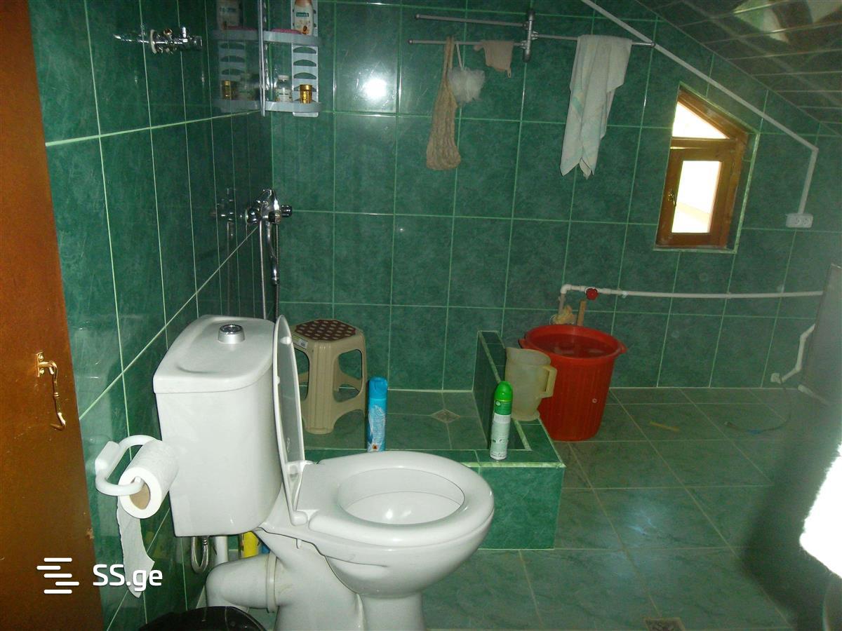 4 Room Private House Daily Rent. Bazaleti view 7
