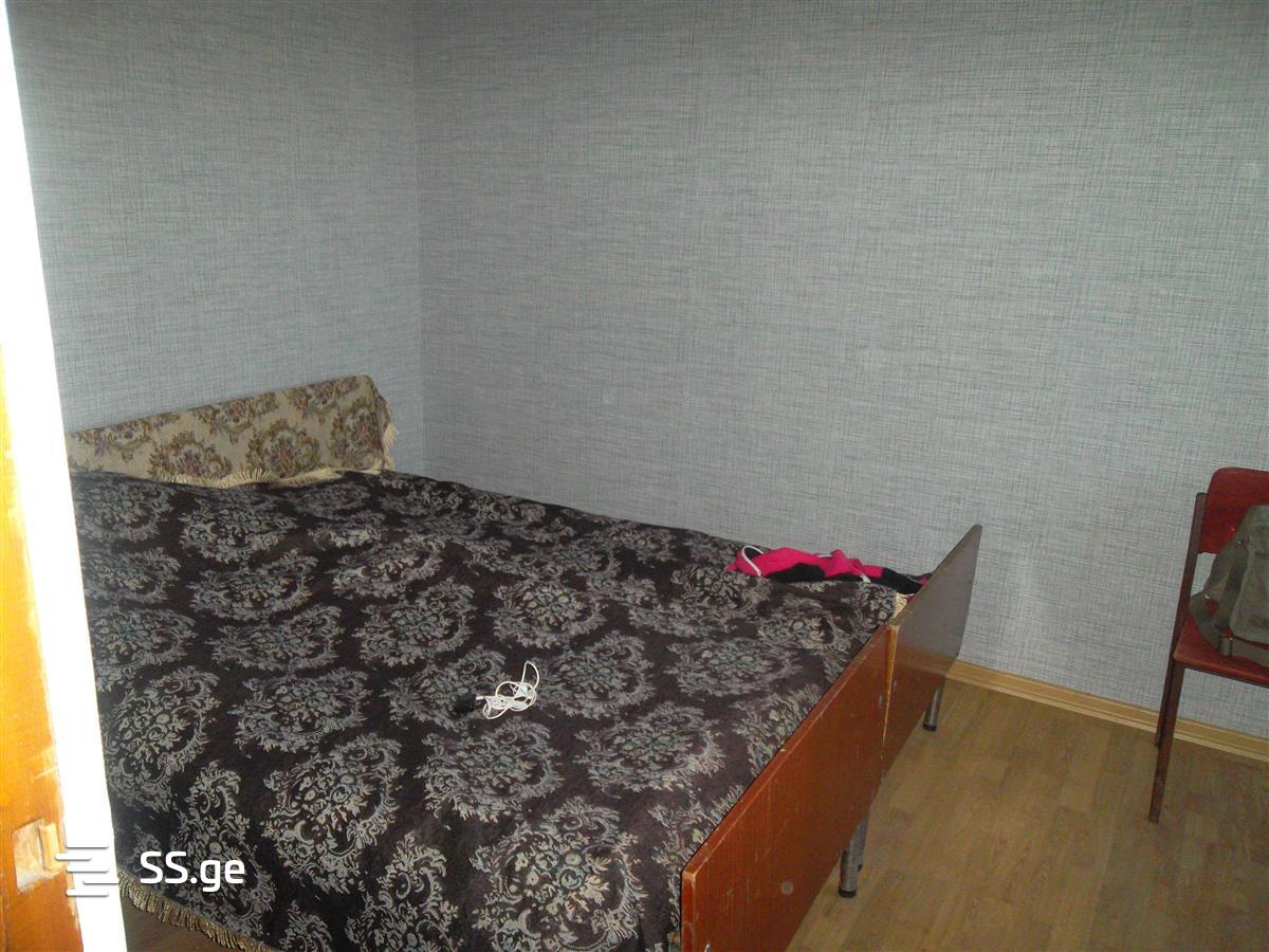 4 Room Private House Daily Rent. Bazaleti view 8