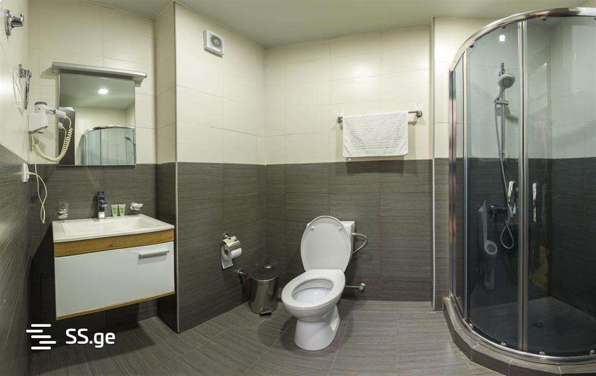 1 Room Flat For Rent. Kvariati view 10