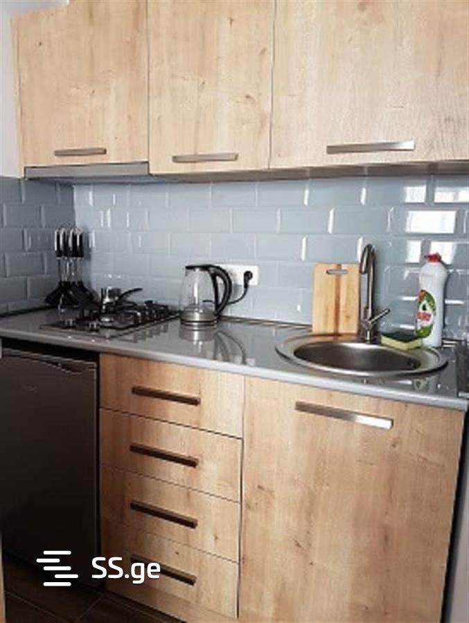 1 Room Flat Daily Rent. Borjomi view 6