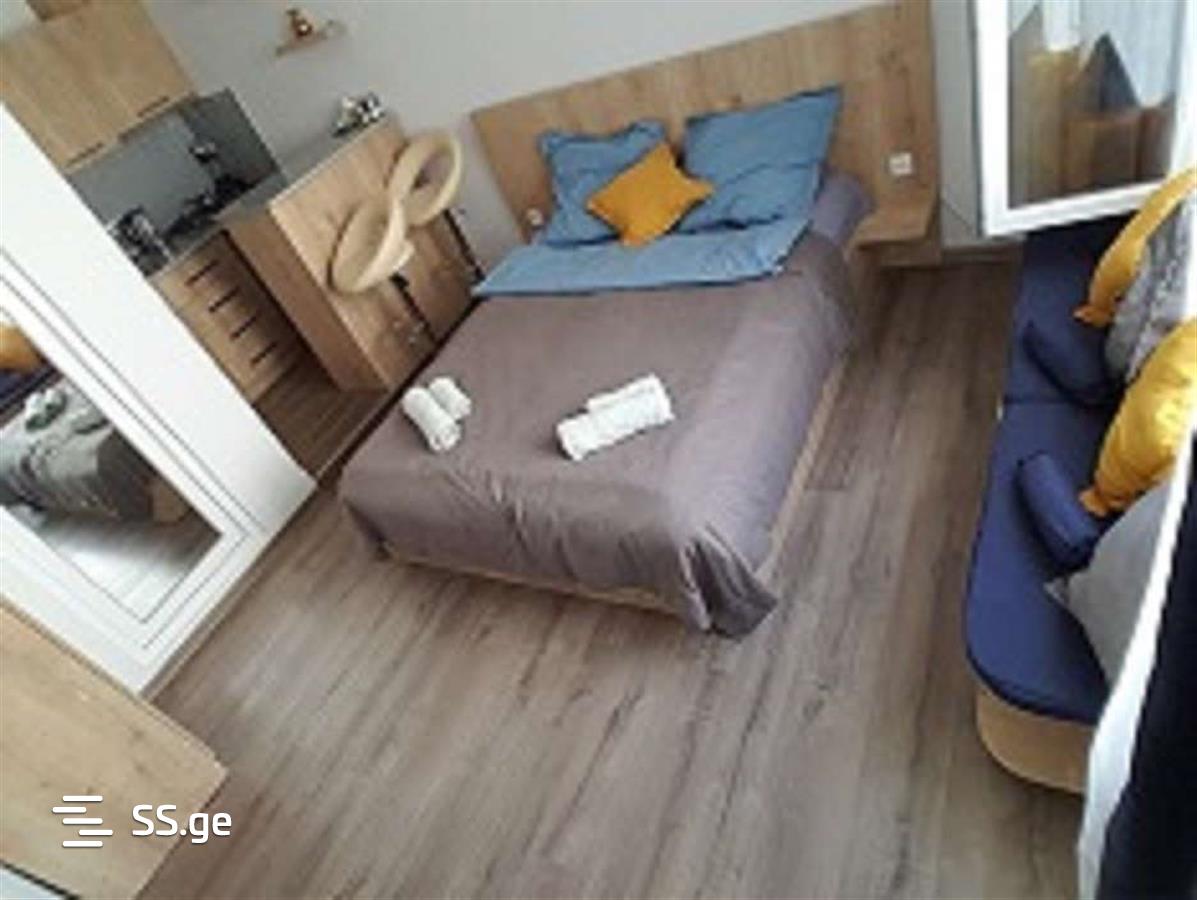 1 Room Flat Daily Rent. Borjomi view 5