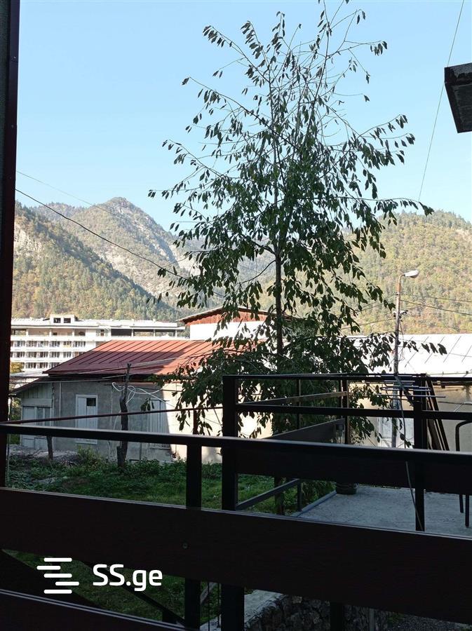 1 Room Flat Daily Rent. Borjomi view 10