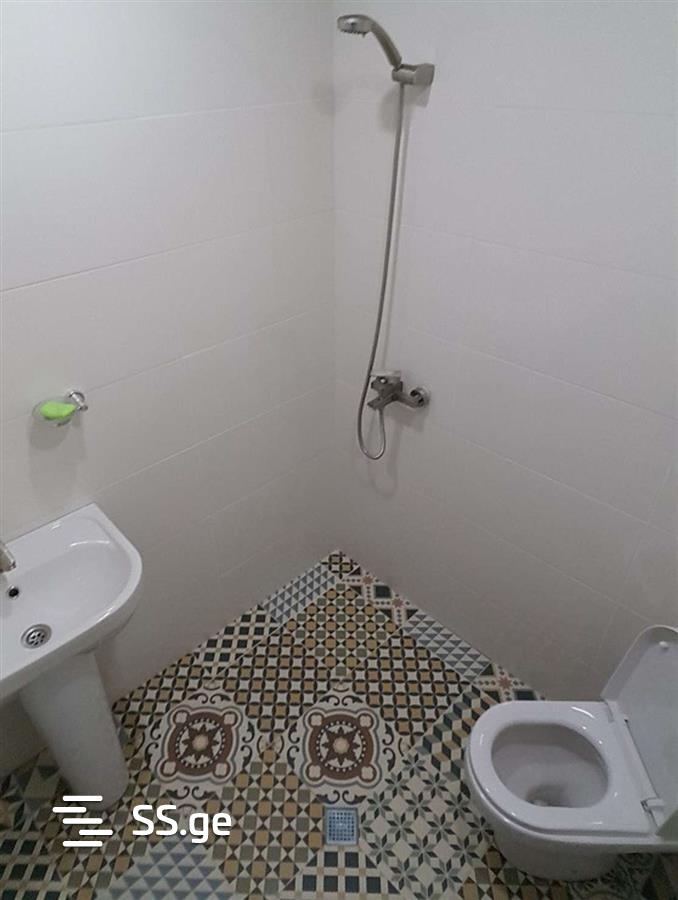 1 Room Flat Daily Rent. Borjomi view 7