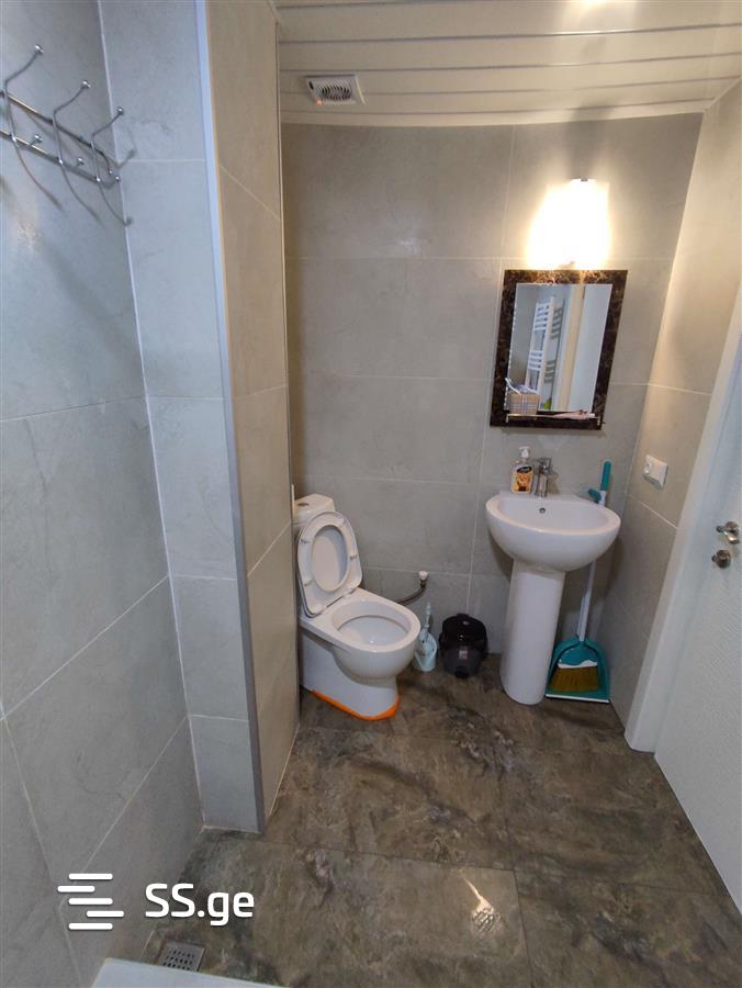 2 Room Flat Daily Rent. Bakuriani view 7