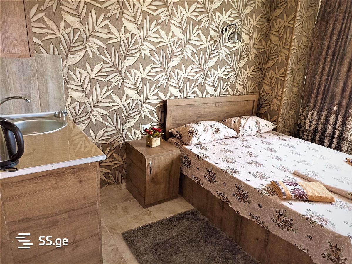 1 Room Flat Daily Rent. Samgori view 4