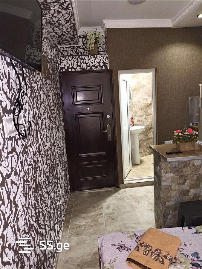 1 Room Flat Daily Rent. Samgori view 5