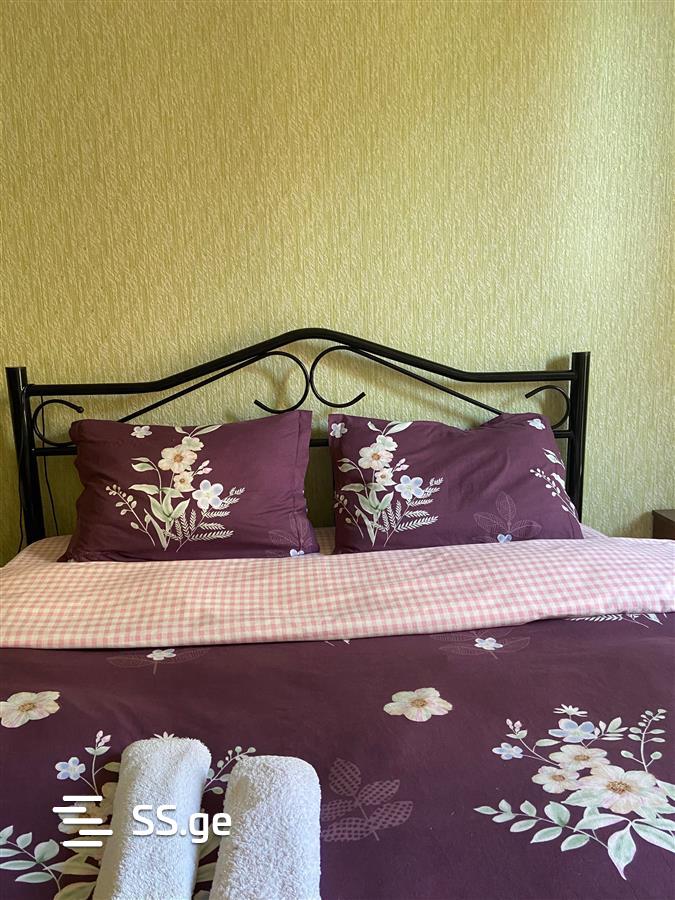 2 Room Flat Daily Rent. Isani view 1