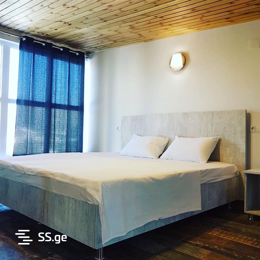 9 Room Summer Cottage Daily Rent. Bazaleti view 10