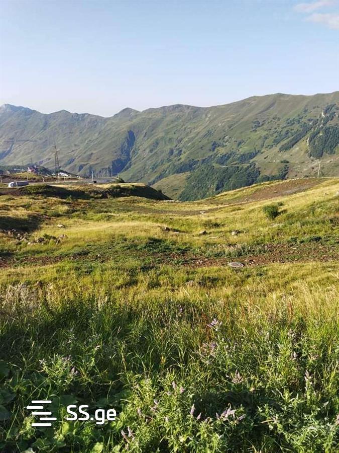 Land For Sale. Gudauri view 4