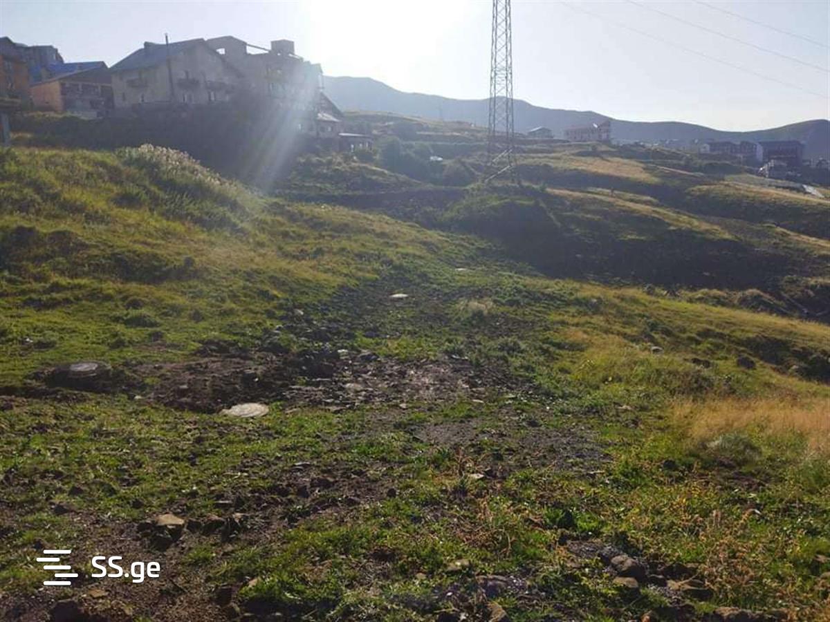 Land For Sale. Gudauri view 2
