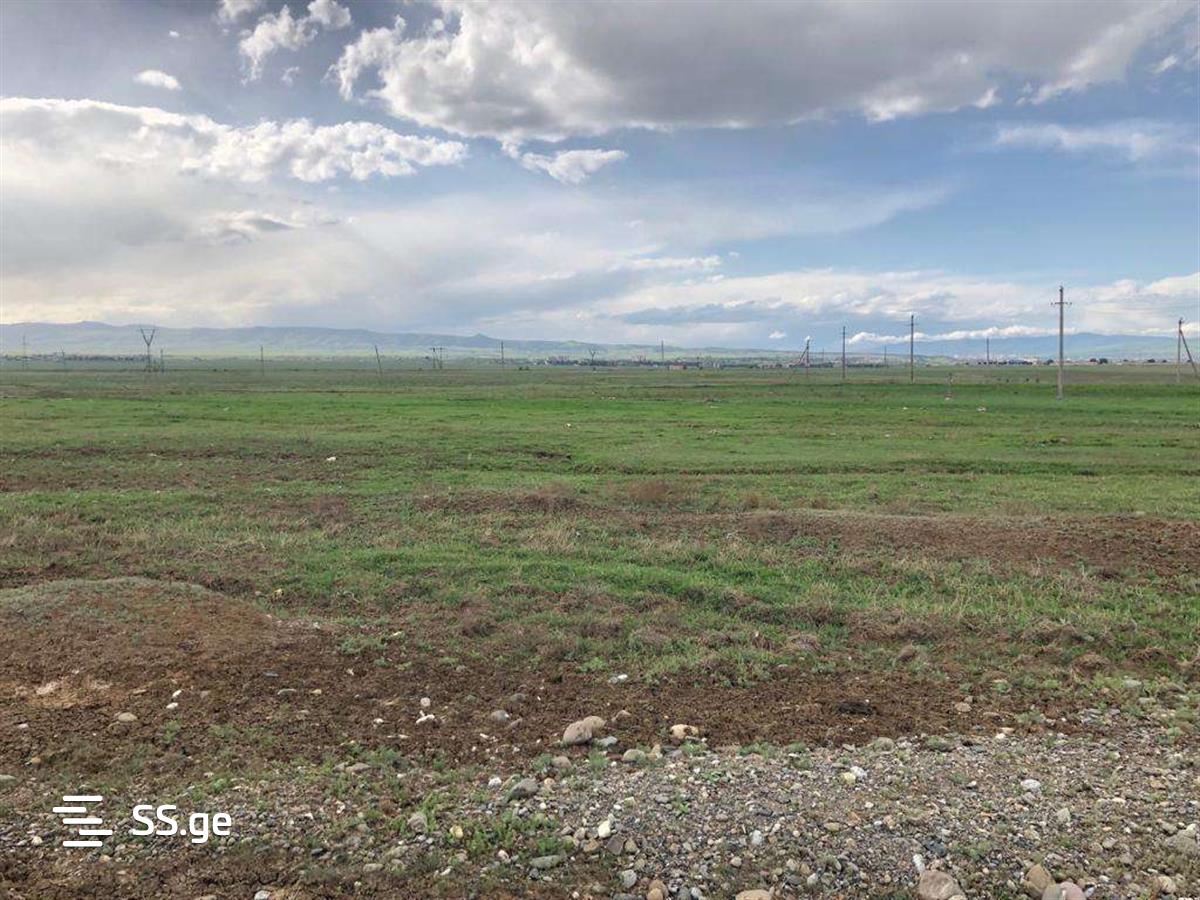 Land For Sale. Krtsanisi view 9