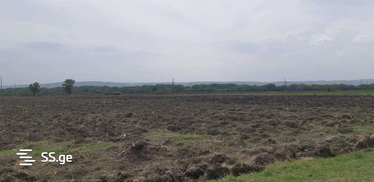 Land For Sale. Krtsanisi view 6
