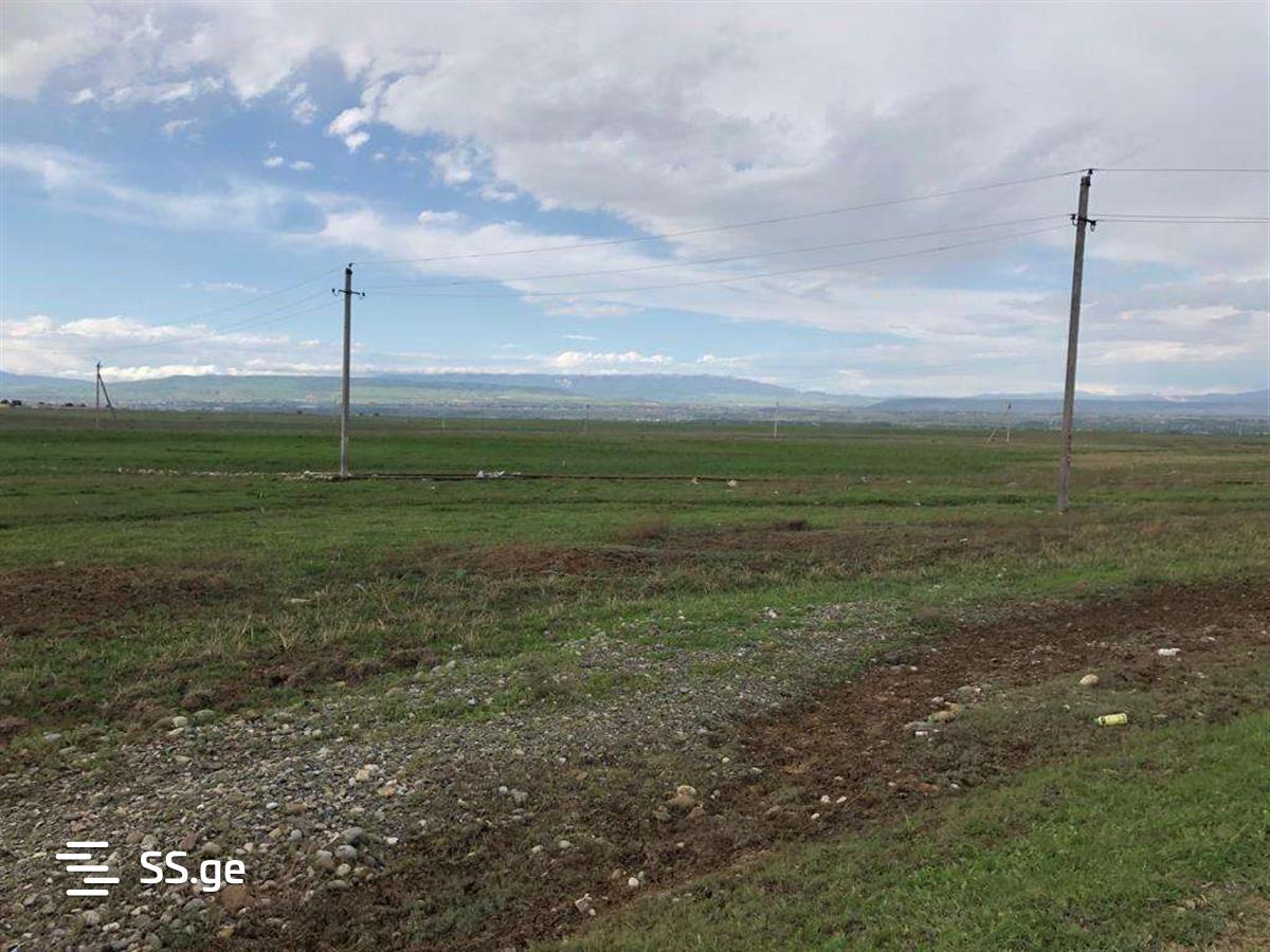 Land For Sale. Krtsanisi view 7