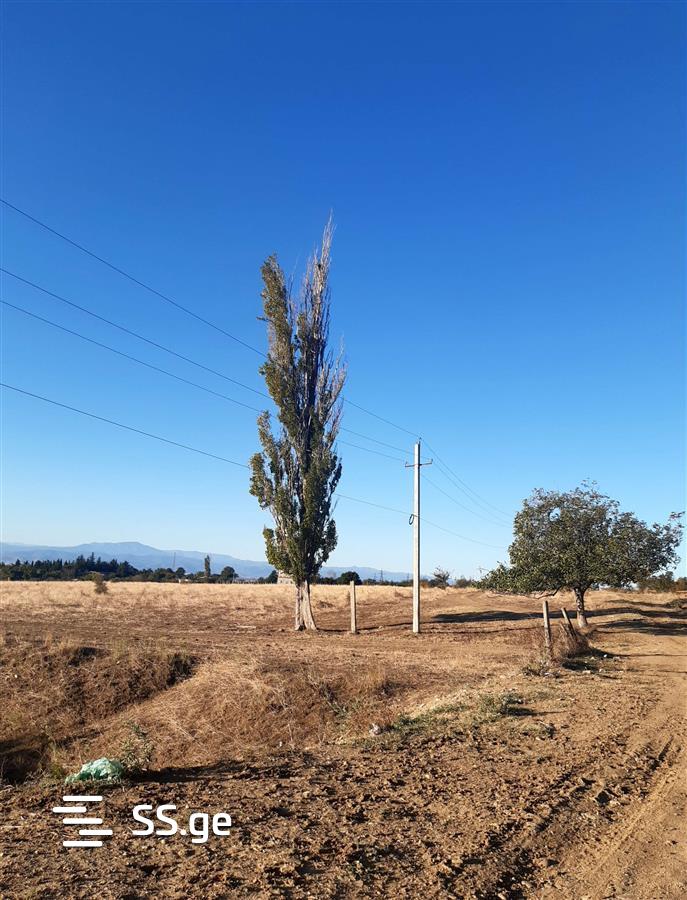 Land For Sale. Zemo Teleti, 145000 3531714 ss.ge