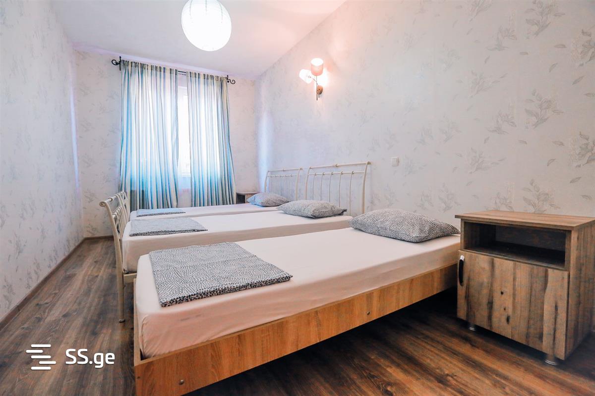 7 Room Summer Cottage Daily Rent. Bazaleti view 13