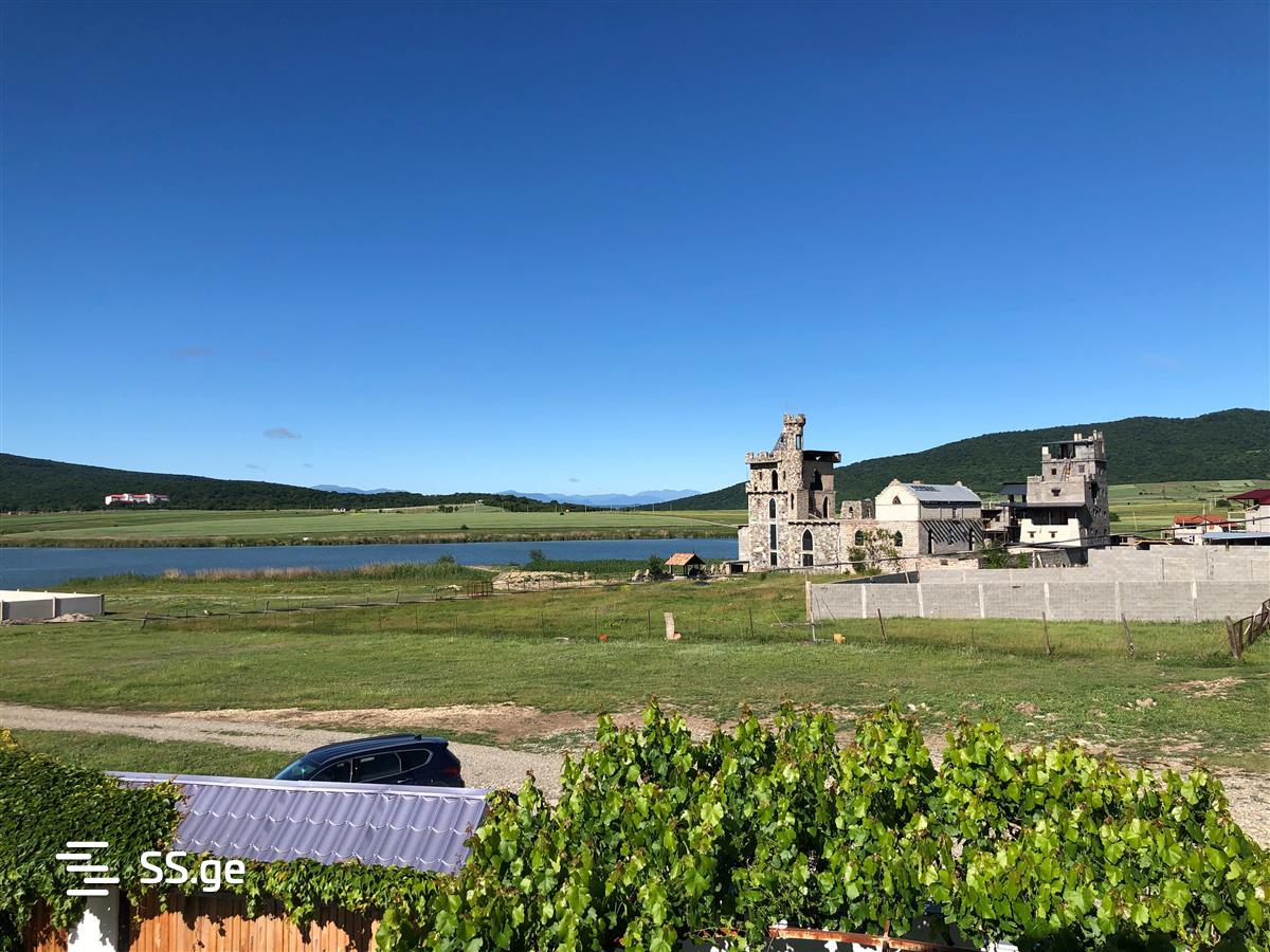 9 Room Summer Cottage Daily Rent. Bazaleti view 9
